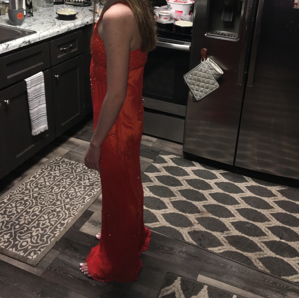 Formal Dress - Picture 3 of 4